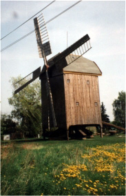 Bockwindmhle in Wilhelmsaue