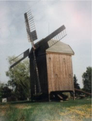 Bockwindmhle in Wilhelmsaue